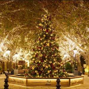 Market Insights December 2025